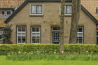 Front view of a cosy brick house with flower bed and green lawn, old houses with green gardens in a