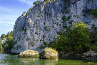 Danube Gorge, Weltenburger Enge, Gorge, Upper Jura, Weltenburg, Kelheim on the Danube, Lower