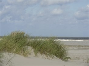 Sand dunes with grass and sea view under cloudy sky, sand dune with dune grass on a beach in front