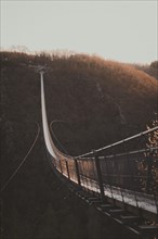 A bridge leads through autumnal trees in the subdued light of dusk. Suspension rope bridge