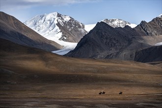 Riders on the autumnal plateau with brown grass, glaciated and snowy peaks, Sary-Tor Glacier, Ak