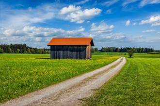 Rural road in summer meadow with wooden shed. Bavaria, Germany, Europe