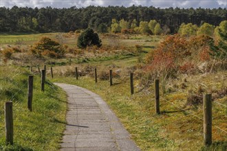 A path that leads through an autumnal landscape of fields and woods, under a partly cloudy sky,