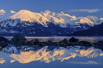 Snowy mountains reflected in fjord, evening light, Coast Mountains, Haines, Alaska, USA, North