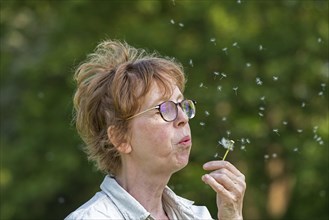 Woman blowing Pustblume, Boizenburg, Mecklenburg-Vorpommern, Germany, Europe