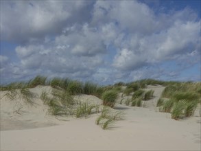 Sand dune landscape with tufts of grass under a partly cloudy blue sky, lonely beach with dune