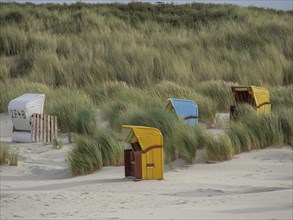 Several beach chairs in different colours, surrounded by high grasses in a quiet dune landscape,