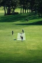 Group of people playing cricket in a meadow in a park in nature. Taken at lunchtime in Auckand, New
