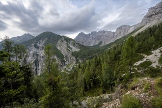 Mountain landscape with rocky mountain peaks and mountain forest, Obere Wolayer Alpe, Carnic High