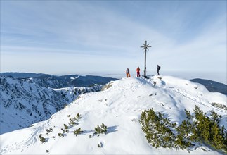 Ski tourer on the summit of the Aiplspitz, Mangfall mountains, Bavarian Prealps, Bavaria, Tyrol,