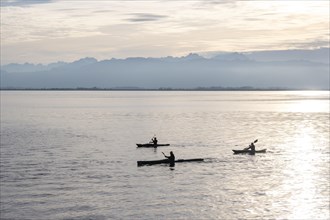 Kayakers paddling in Lake Constance in the evening light, snow-covered mountain peaks, Lindau