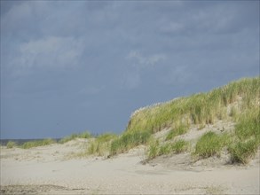 Sand dunes under a slightly cloudy sky, peaceful landscape, lonely beach with dune grass in the