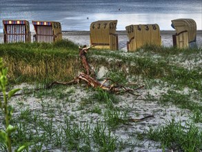 Beach chairs on a sandy beach, surrounded by beach grasses and driftwood, in front of a calm sea