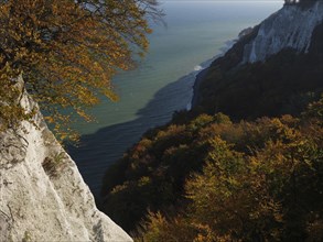 Wooden cliffs overlooking the calm sea surrounded by autumn leaves in vibrant autumn colours,