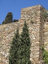 Stone wall with tall cypresses and green plants against a blue sky, stone walls of an old Moorish