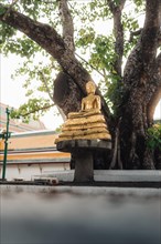 Gilded Buddha statue in temple complex in the centre of the city in Thailand at sunset. Taken in