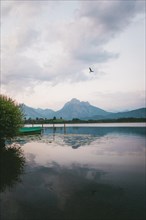 An atmospheric picture with a mountain view, footbridge and a bird flying by. Lake Hopfensee,