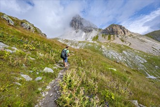 Mountaineer on a hiking trail between flowering thistles, rocky summit of the Grosser Kinigat in