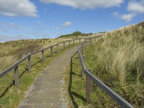 Paved path with railings leads through a grassy dune landscape under a blue sky, dune and footpaths