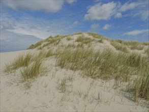 Sand dunes with grass under a blue, slightly cloudy sky, dune with dune grass and a boat by the