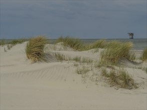 Natural sand dunes with grass along a beach under a blue sky with clouds, dunes by the sea with