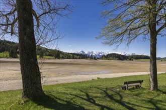 Drained Forggensee, empty, reservoir, flood protection, trees, bench, Allgaeu Alps, snow,
