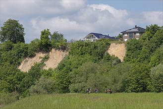 Elbe riverbank, Boize riverbank, Elbe cycle path, cyclist, Boizenburg, Mecklenburg-Vorpommern,