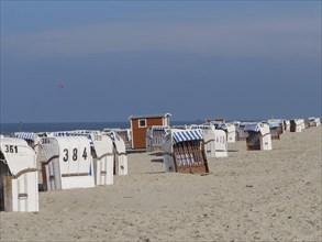Sandy beach with rows of numbered white beach chairs and blue sky, dunes and beach at the sea with