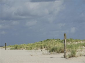 Beach with sand dunes and cloudy sky, peaceful and quiet atmosphere, lonely beach with dune grass