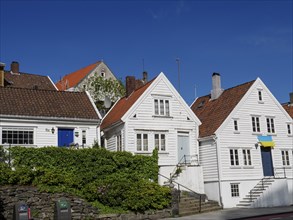 Row of white wooden houses with red roofs on a sunny day, surrounded by plants and blue sky, white