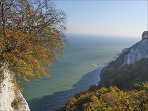 A cliff on the coast in autumn atmosphere with golden leaves and blue sea in the light of the