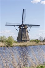 A windmill next to a body of water, surrounded by reeds under a sunny blue sky, many historic