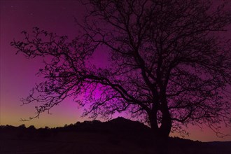 Northern lights in southern Germany. Very strong auroras over the Limburg near Weilheim, Swabian