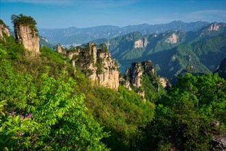 Famous tourist attraction of China, Zhangjiajie stone pillars cliff mountains on sunset at