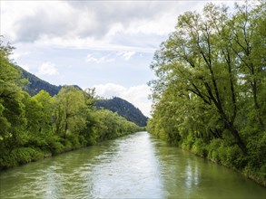 River Enns, near Woerschach, Ennstal, Styria