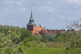 Church, Roofs, Boizenburg, Mecklenburg-Vorpommern, Germany, Europe