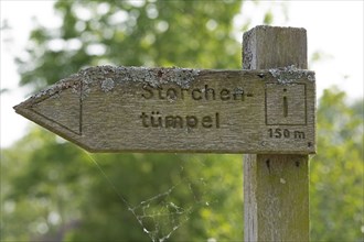 Old signpost, stork pond, Boizenburg, Mecklenburg-Vorpommern, Germany, Europe