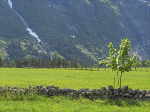 Wide green meadows with scattered trees and a stone wall in front of a mountain backdrop, stone