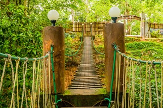 Suspension bridge with lamps leading into a green jungle adventure, in Thailand