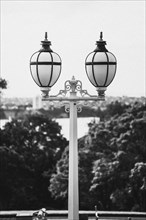 Old lamps light up the park in the evening with a view of the bay and nature in Auckland, New