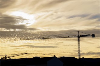Silhouette of cranes on a construction site with a cloudy yellow sky illuminated at dawn