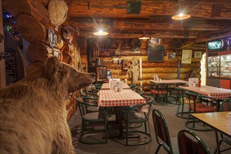 Interior shot of a cosy pub, stuffed bear, tables and chairs, wooden house, Alaska, USA, North