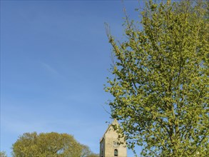 Tree in the foreground and church tower with clock in the background in sunny weather, church tower