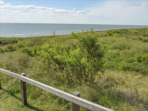 View of the sea through green dunes, a wooden railing runs along the coast, dune and hiking trails
