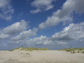 Sandy beach dunes under a blue sky with clouds, quiet ambience, lonely beach with dune grass in the