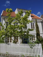 White house with red tiled roof and green tree in front garden, peaceful atmosphere in sunshine,