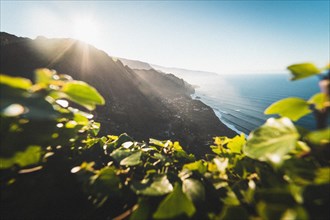 The first rays of sunshine of the day shine over a lush coastal landscape. Madeira, Portugal,
