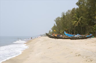 Colourful fishing boats on Cherai Beach or beach, Vypin Island, Kochi, Kerala, India, Asia