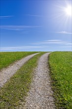 Stony field path through a spring meadow, Blue sky, Sun, Cloudy, Allgaeu, Bavaria, Germany, Europe