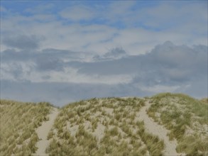 Sand dunes with grass under a partly cloudy sky, dune and hiking trails at the wadden sea, clouds